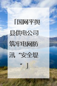 国网平舆县供电公司筑牢电网防汛“安全堤”