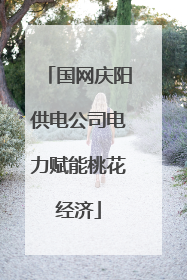 国网庆阳供电公司电力赋能桃花经济