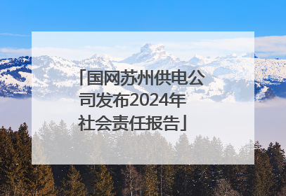 国网苏州供电公司发布2024年社会责任报告