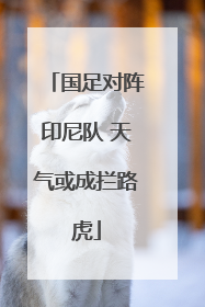 国足对阵印尼队 天气或成拦路虎