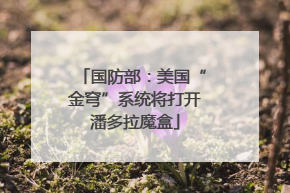 国防部：美国“金穹”系统将打开潘多拉魔盒
