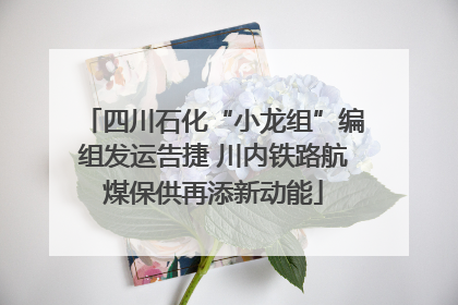 四川石化“小龙组”编组发运告捷 川内铁路航煤保供再添新动能