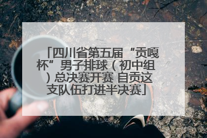 四川省第五届“贡嘎杯”男子排球（初中组）总决赛开赛 自贡这支队伍打进半决赛