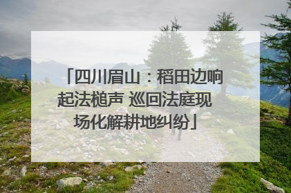 四川眉山：稻田边响起法槌声 巡回法庭现场化解耕地纠纷