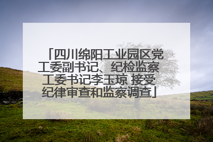 四川绵阳工业园区党工委副书记、纪检监察工委书记李玉琼 接受纪律审查和监察调查