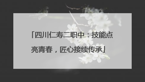 四川仁寿二职中：技能点亮青春，匠心接续传承
