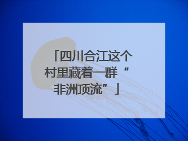 四川合江这个村里藏着一群“非洲顶流”