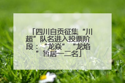 四川自贡征集“川超”队名进入投票阶段：“龙焱”“龙焰”暂居一二名