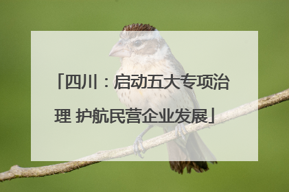 四川：启动五大专项治理 护航民营企业发展