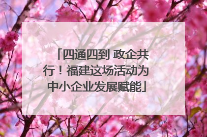 四通四到 政企共行！福建这场活动为中小企业发展赋能