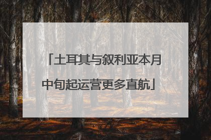 土耳其与叙利亚本月中旬起运营更多直航