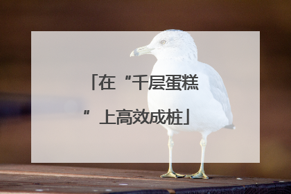 在“千层蛋糕”上高效成桩