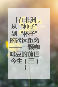 在非洲，从“种子”到“杯子”的遥远距离——一颗咖啡豆的前世今生（三）