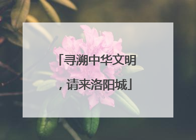 寻溯中华文明，请来洛阳城