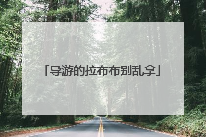 导游的拉布布别乱拿