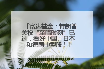 富达基金：特朗普关税“至暗时刻”已过，看好中国、日本和德国中型股！