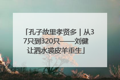 孔子故里孝贤多｜从37只到320只——刘健让泗水裘皮羊重生