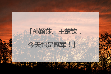 孙颖莎、王楚钦，今天也是冠军！