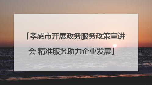 孝感市开展政务服务政策宣讲会 精准服务助力企业发展