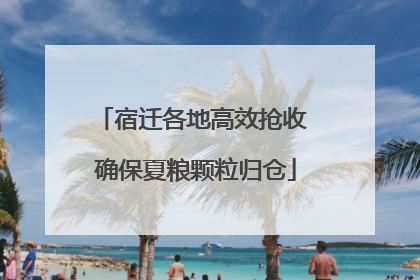 宿迁各地高效抢收 确保夏粮颗粒归仓