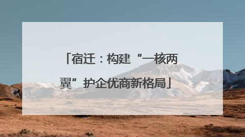 宿迁：构建“一核两翼”护企优商新格局