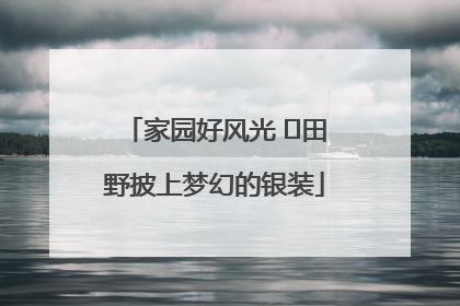 家园好风光 ⎮田野披上梦幻的银装