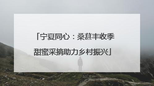 宁夏同心：桑葚丰收季 甜蜜采摘助力乡村振兴