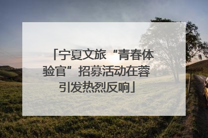 宁夏文旅“青春体验官”招募活动在蓉引发热烈反响