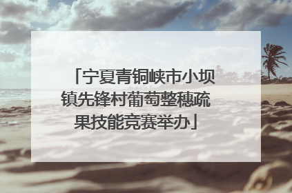 宁夏青铜峡市小坝镇先锋村葡萄整穗疏果技能竞赛举办
