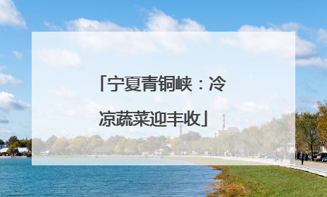 宁夏青铜峡：冷凉蔬菜迎丰收