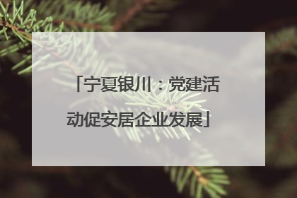 宁夏银川：党建活动促安居企业发展