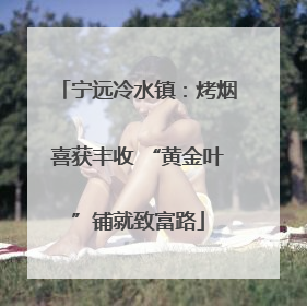 宁远冷水镇：烤烟喜获丰收 “黄金叶”铺就致富路