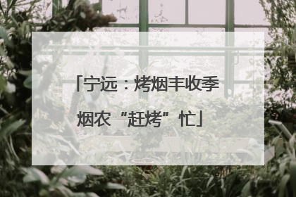 宁远：烤烟丰收季 烟农“赶烤”忙