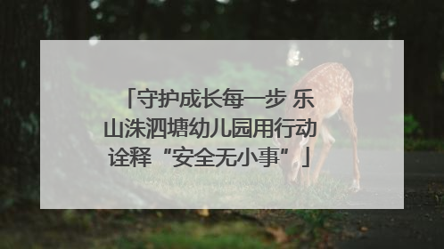 守护成长每一步 乐山洙泗塘幼儿园用行动诠释“安全无小事”