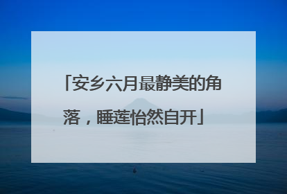 安乡六月最静美的角落，睡莲怡然自开