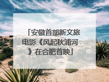 安徽首部新文旅电影《风起秋浦河》在合肥首映