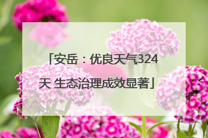 安岳：优良天气324天 生态治理成效显著