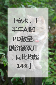 安永：上半年A股IPO数量、融资额双升，同比均超14%