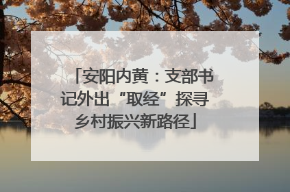 安阳内黄：支部书记外出“取经”探寻乡村振兴新路径