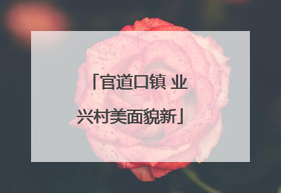 官道口镇 业兴村美面貌新