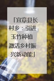 宜章县长村乡：引进玉竹种植 激活乡村振兴新动能