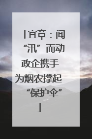 宜章：闻“汛”而动 政企携手为烟农撑起“保护伞”