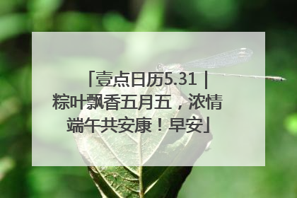 壹点日历5.31｜粽叶飘香五月五，浓情端午共安康！早安
