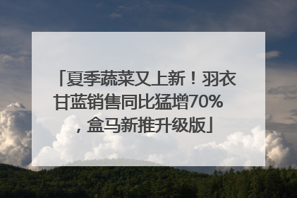 夏季蔬菜又上新！羽衣甘蓝销售同比猛增70%，盒马新推升级版