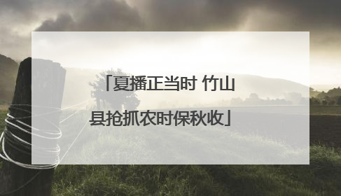 夏播正当时 竹山县抢抓农时保秋收