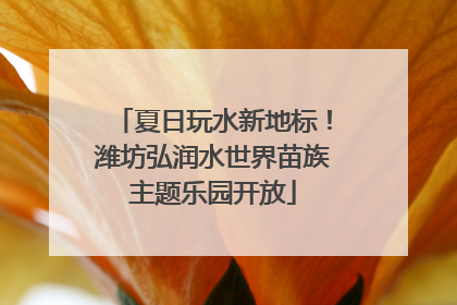 夏日玩水新地标！潍坊弘润水世界苗族主题乐园开放