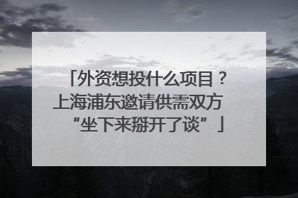 外资想投什么项目？上海浦东邀请供需双方“坐下来掰开了谈”