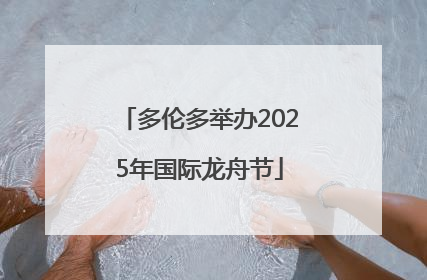 多伦多举办2025年国际龙舟节