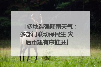 多地遇强降雨天气：多部门联动保民生 灾后重建有序推进