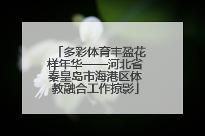 多彩体育丰盈花样年华——河北省秦皇岛市海港区体教融合工作掠影